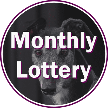 Monthly Lottery