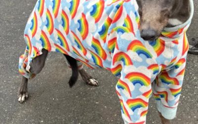 Palermo (Nottingham)