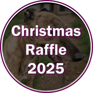 Christmas Raffle 2025