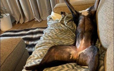 Perception V Reality….HELP NEEDED