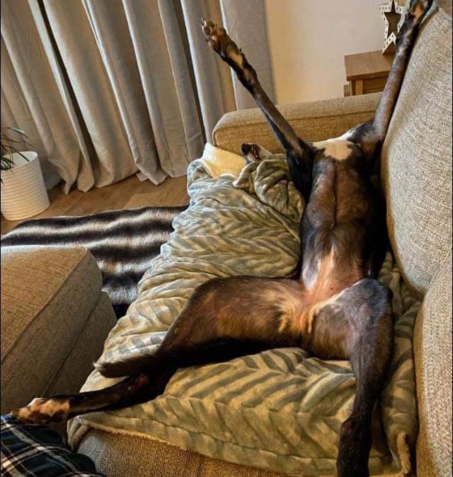 Perception V Reality….HELP NEEDED