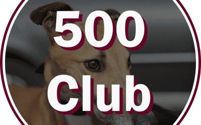 500 Club