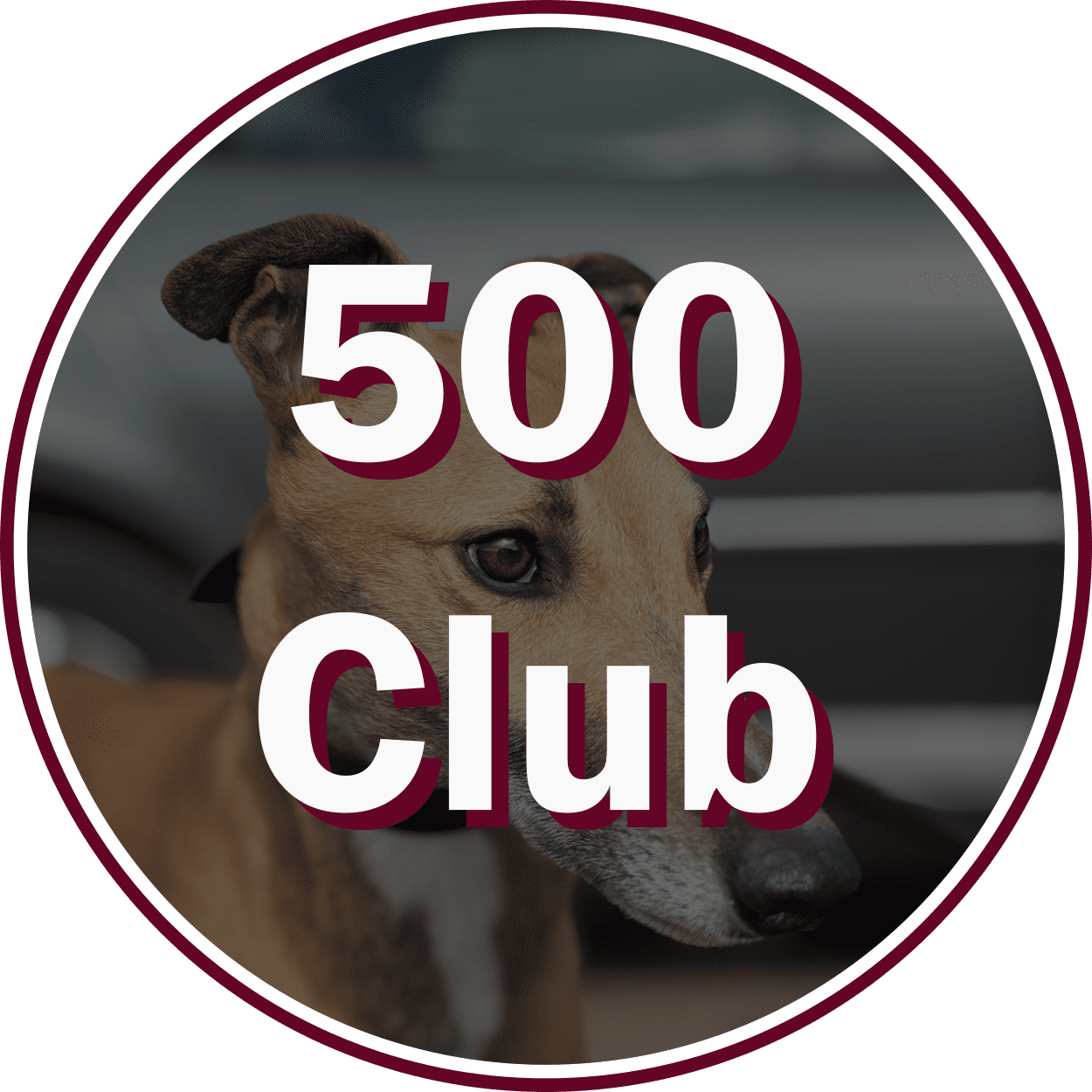 tia-rescue-500-club