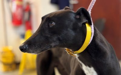 Recent News (3rd October 2025)