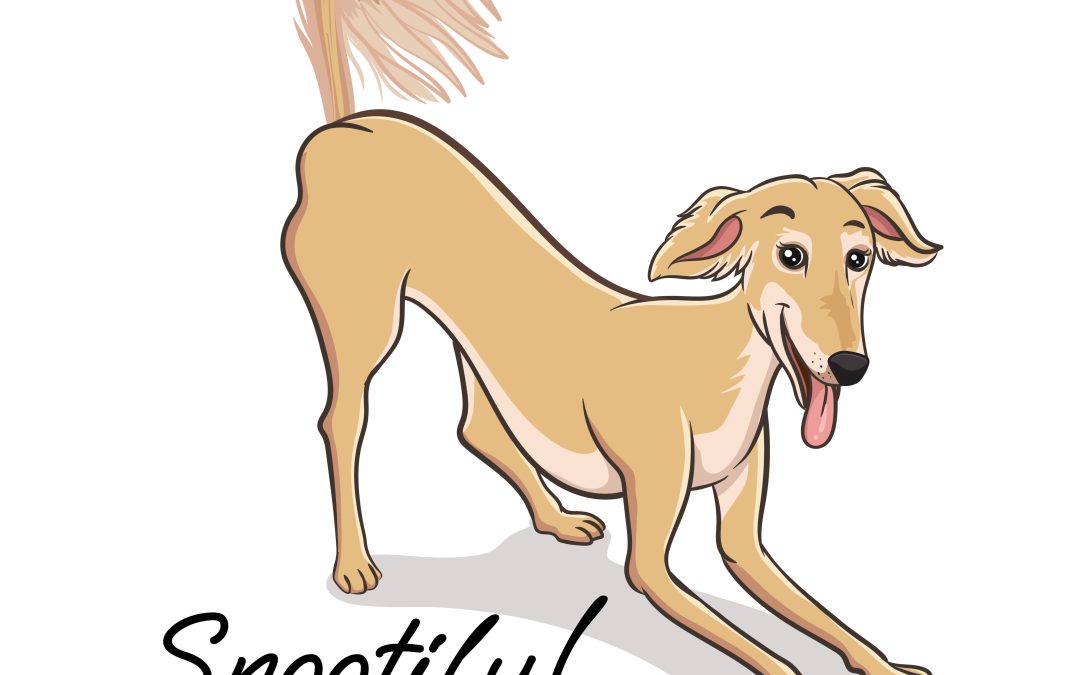 Snootiful Hound