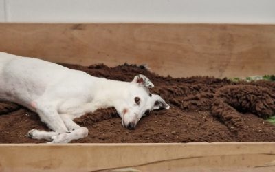 Recent News (23-05-2025)