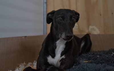 Recent News (20th June 2025)