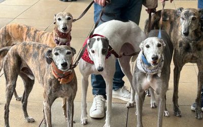 Unsung Heroes, both old and new