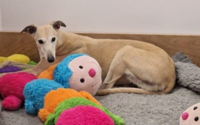 Recent News (27th June 2025)