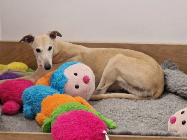 Recent News (27th June 2025)