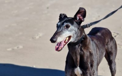 Recent News (25/7/25)