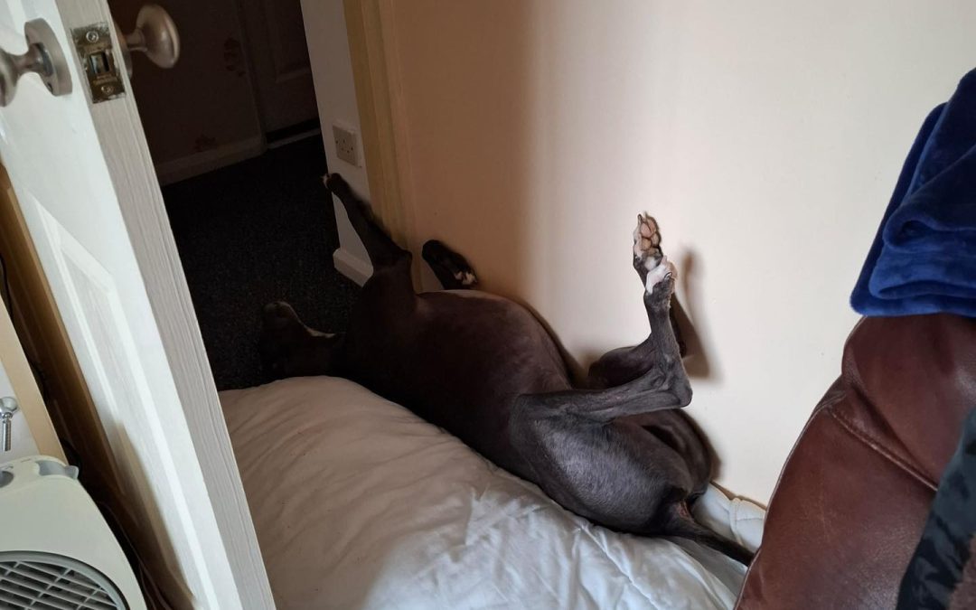 Recent News (16th August 2025)