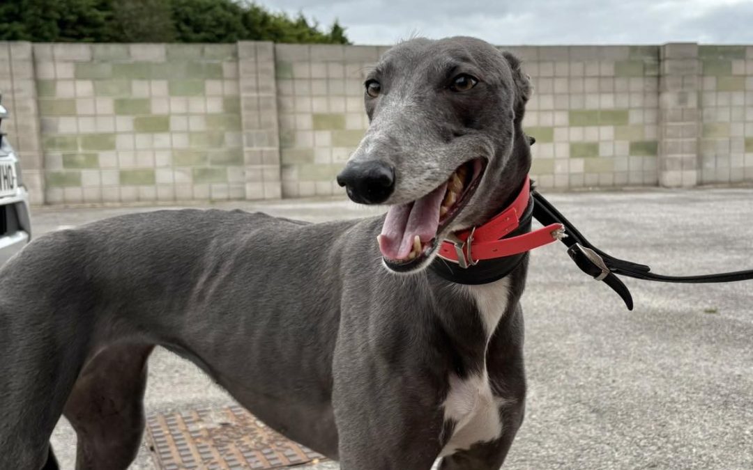 Recent News (19th September 2025)