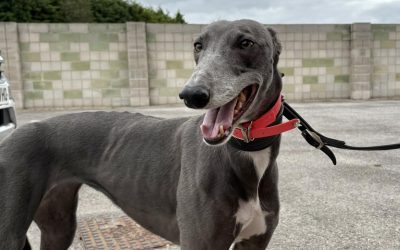 Recent News (19th September 2025)