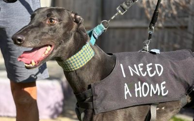 Recent News (24/10/25)