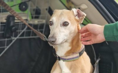 Recent News (7th November 2025)