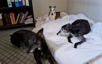 Recent News (28th November 2025)