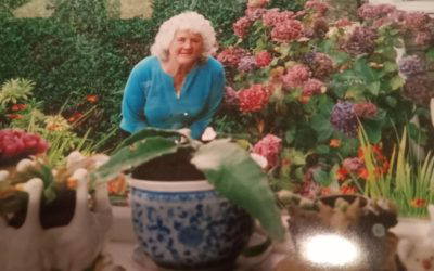 Recent News (12th December 2025)