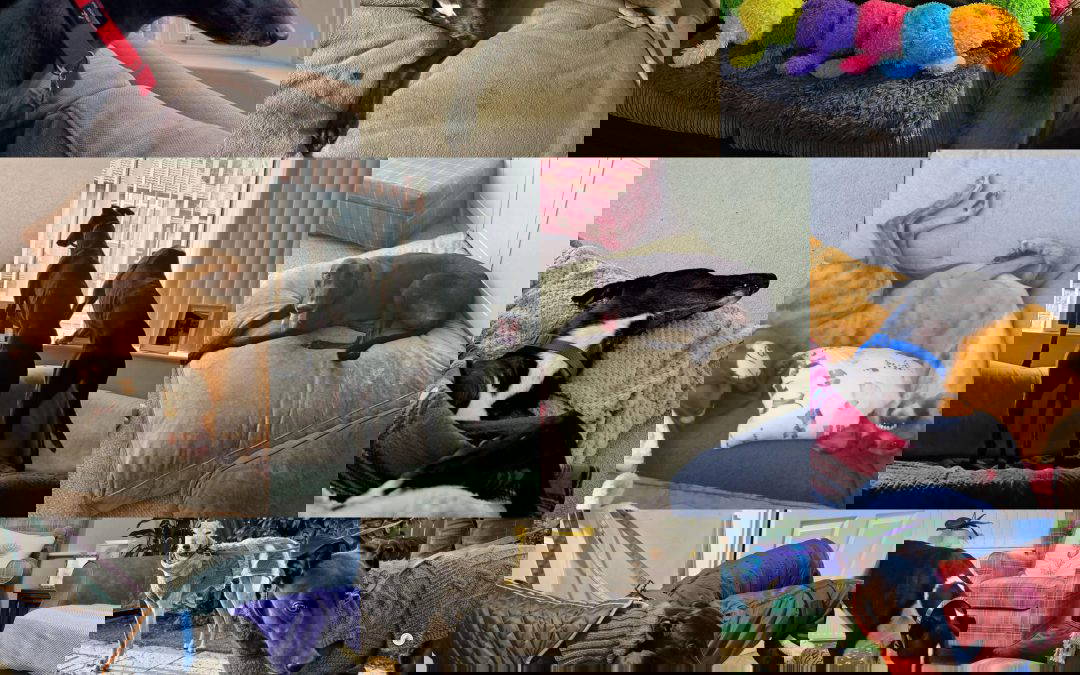 Recent News (5th December 2025)