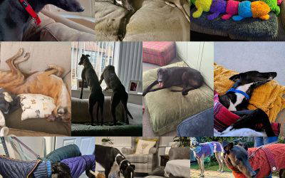 Recent News (5th December 2025)