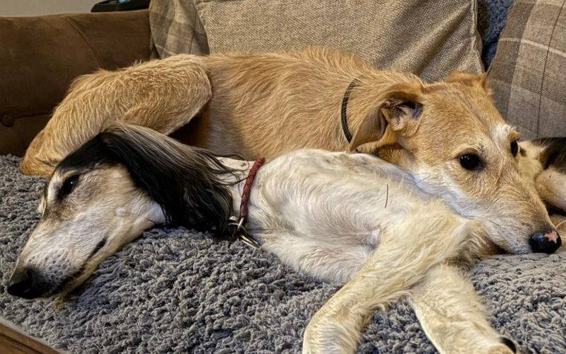 Recent News (9th January 2026)