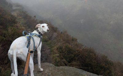 Recent News (2nd January 2026)