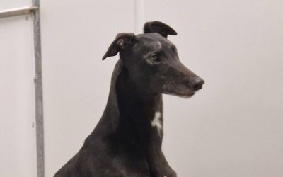 Recent News (30th January 2026)