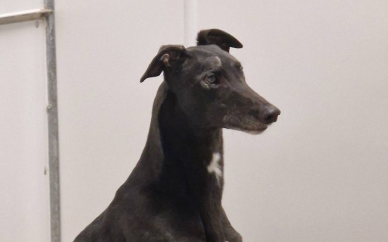 Recent News (30th January 2026)