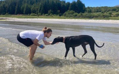 Recent News (16th January 2026)