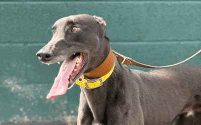 Recent News (13th – 19th Feb 2026)