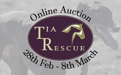 Recent News (20 – 26th February)