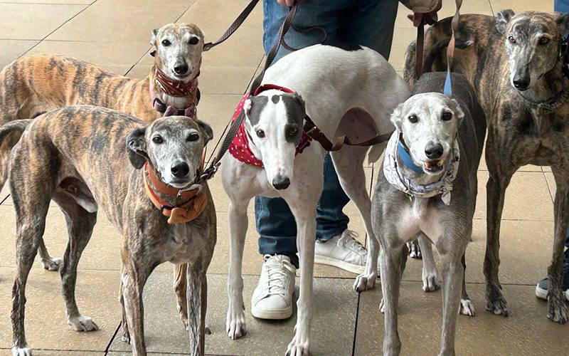 Recent News (27th Feb – 5th March)