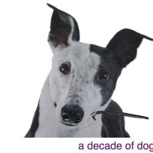 A Decade of Dogs - Signed Paperback