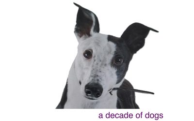 A Decade of Dogs (and other recent news)