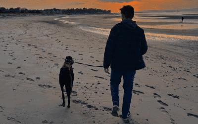 Recent News (27th March – 2nd April)