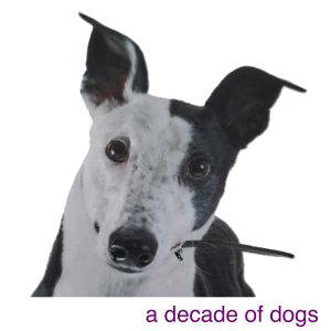 A Decade of Dogs - eBook