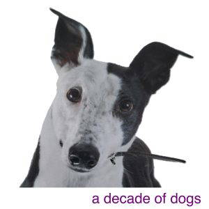 A Decade of Dogs - Paperback