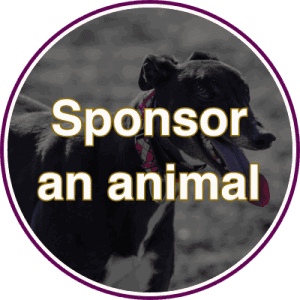 Sponsor an Animal