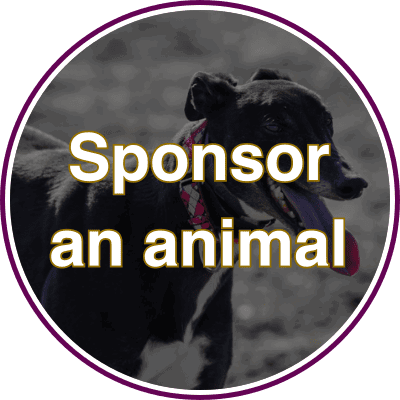 Sponsor an Animal