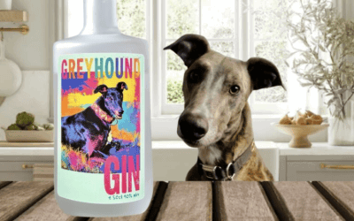 Greyhound Gin – launched today!